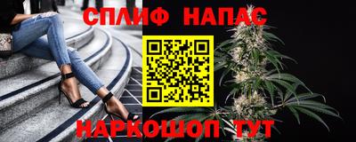 экстази Гай