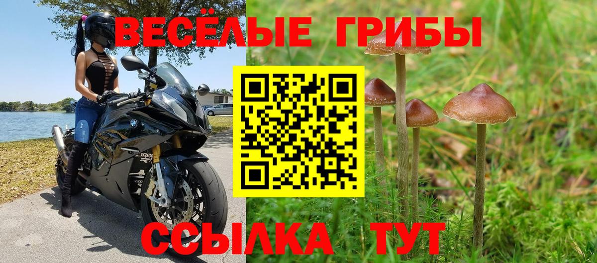 Псилоцибиновые грибы Magic Shrooms Нурлат