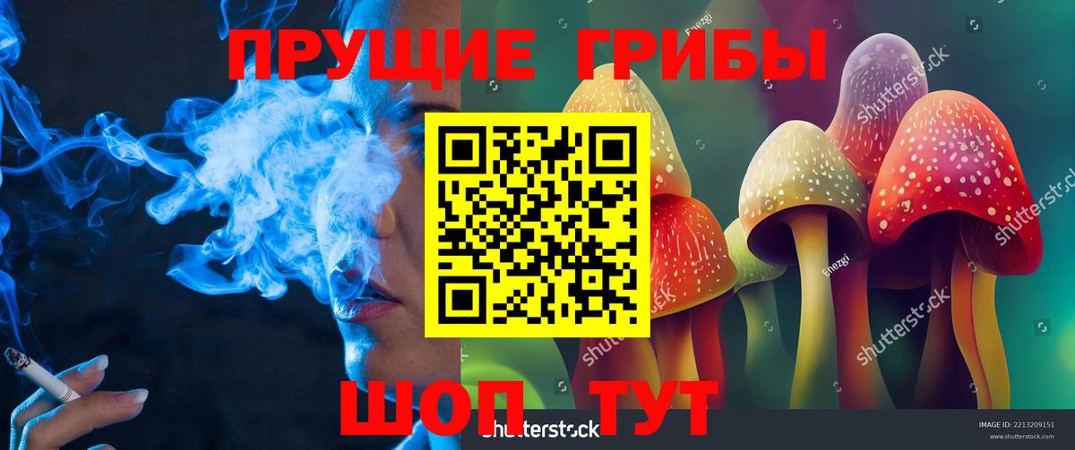 Псилоцибиновые грибы Cubensis  Псилоцибиновые грибы ЛСД  Вход с VPN  Нурлат 